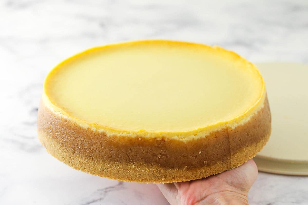 cheesecake without the parchment paper resting in the palm of my hand