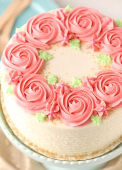 overhead image of Raspberry Almond Layer Cake